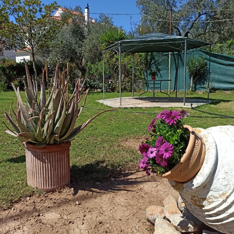 Itea'S Garden House Villa Kirra Екстериор снимка